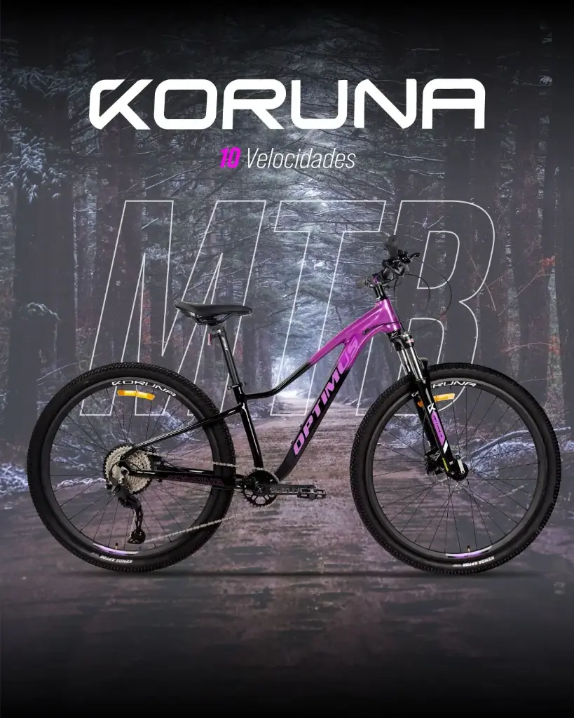 Bicicleta Optimus Koruna Rin29