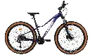 Bicicleta Profit Dama X3 Rin29