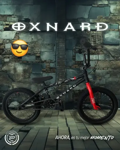 Bicicleta Profit Oxnard Rin20